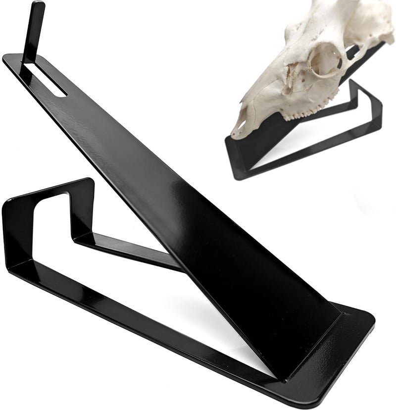 VMSIXVM European Mount Skull Hanger Stand, Heavy Duty Table Top Skull Hanger for Deer Head, Pronghorn and Other Smaller Animals, Euro Mount Taxidermy Deer Head Hooker for Desk Shelf Display - Image 1